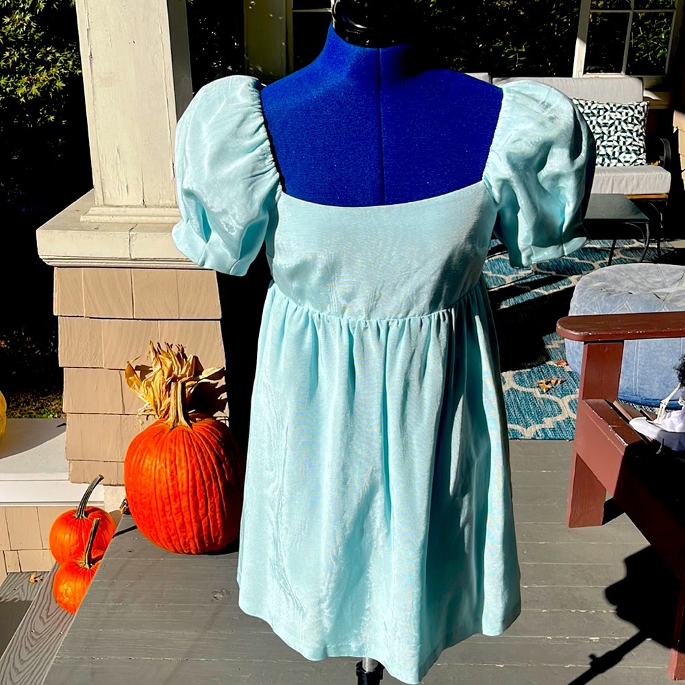 Alice and Olivia Bauery Puff-sleeve baby doll dress. Excellent condition.